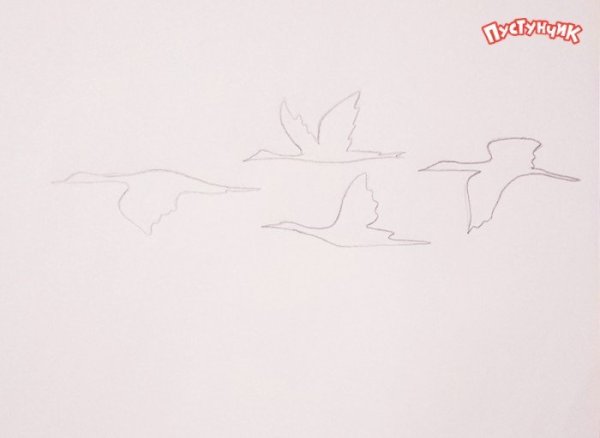 Чайка акварель