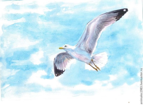 Стая птиц акварель