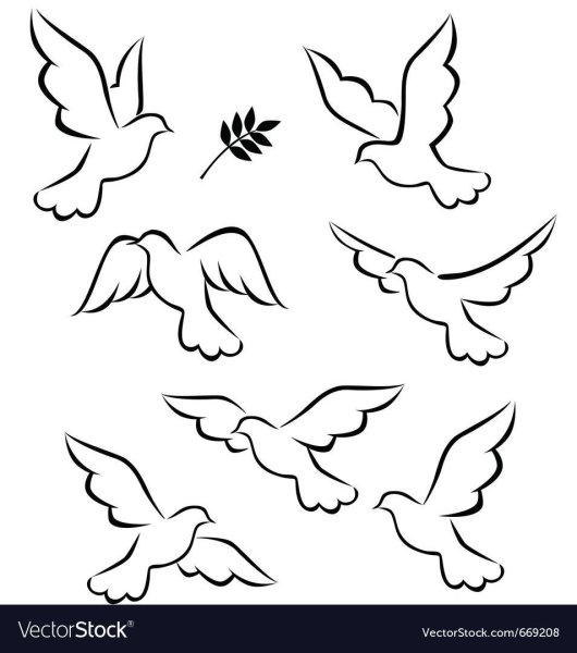 Как нарисовать могучего орла карандашами и красками — 4 мастер-класса для начинающих