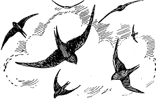 Птицы улетают раскраска