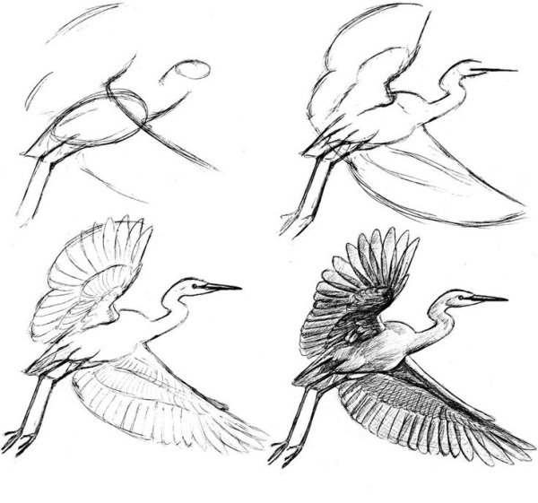 Узоры улетающие птицы