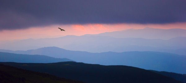 Человек между небом и землей