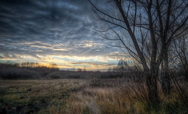 Сумрачное небо