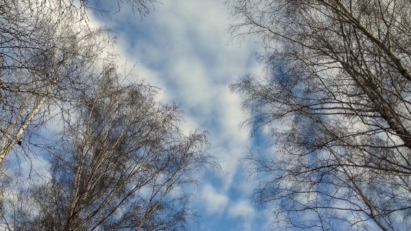 Небо в ноябре