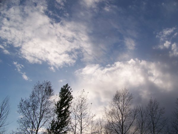 Ноябрьское небо