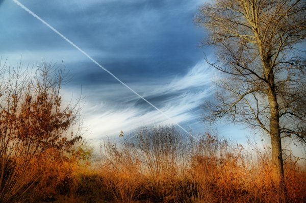 Небо в ноябре