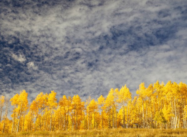 Осенние облака