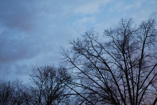 Небо в ноябре