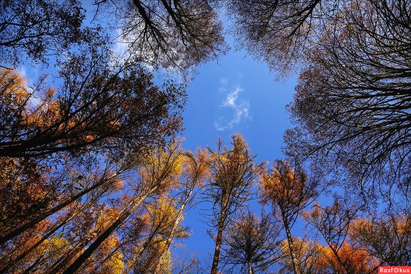 Ноябрьское небо