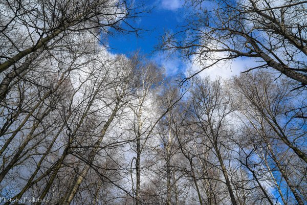 Осеннее небо ноябрь