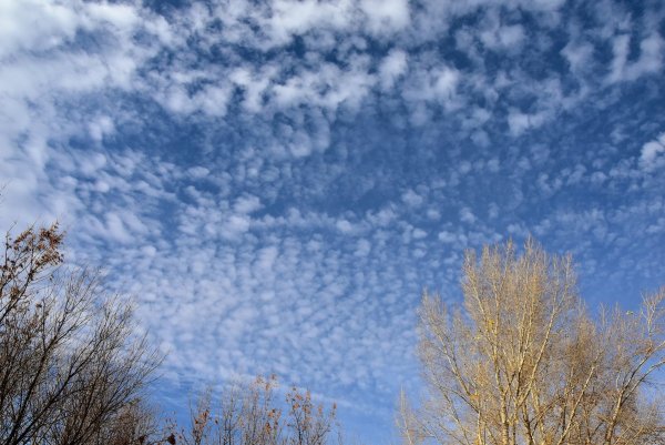 Осенний лес и поле