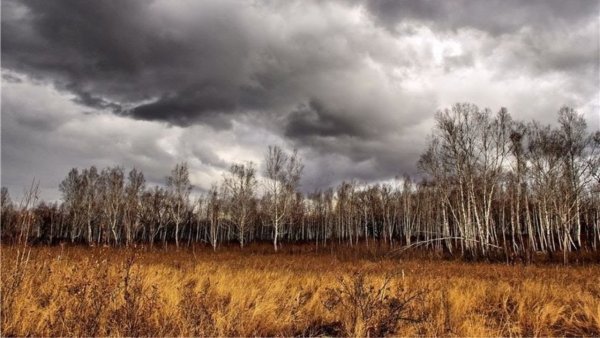 Ноябрьский рассвет