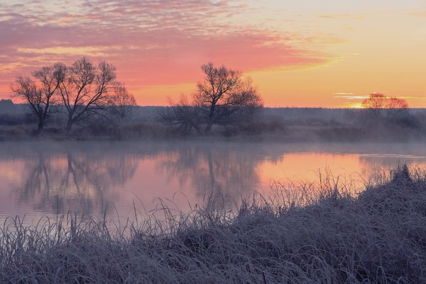 Пасмурная осень