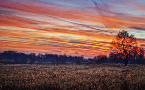 Зимний закат
