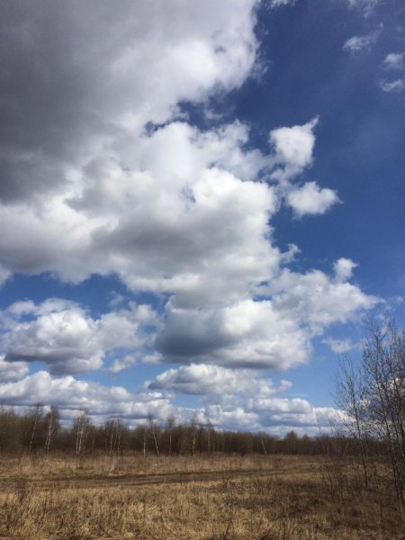 Пасмурный осенний день