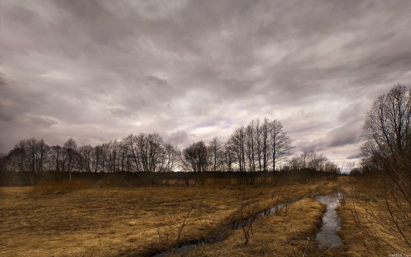 Серое зимнее небо