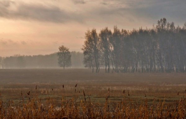 Осенняя Заря