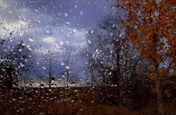 Поздняя осень солнце