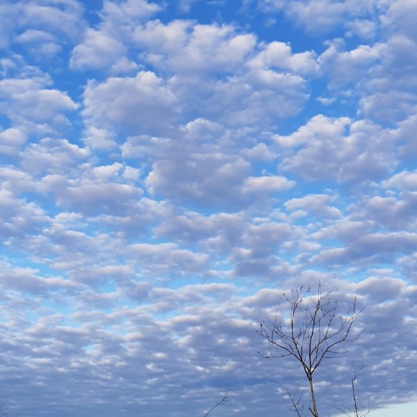 Поздняя осень в деревне