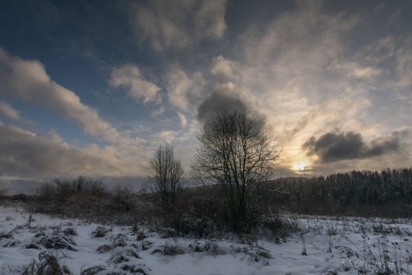 Небо в ноябре