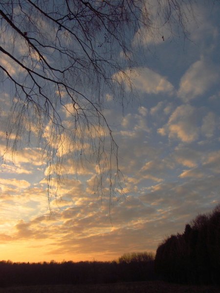 Челябинская область зима