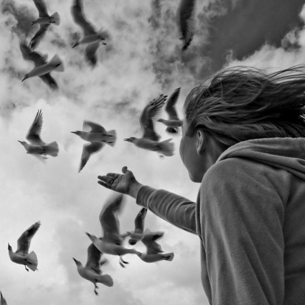Девушка и улетающие птицы