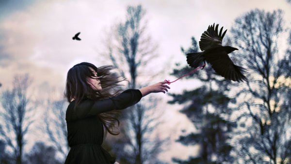 Голубь улетает с руки