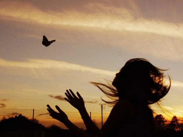 Отпустить птицу