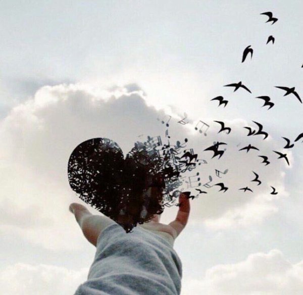 Девушка птица