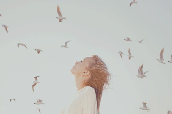 Белых птиц своих отпустите в небо