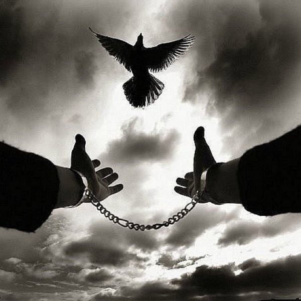 Девушка птица