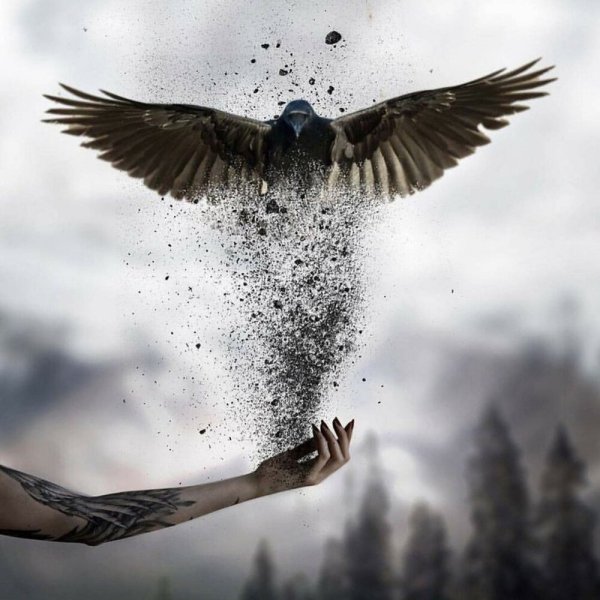 Девушка летает