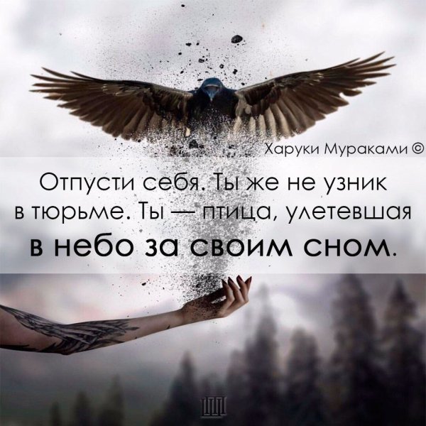 Голубь улетает из рук