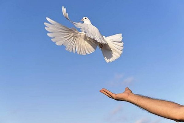 Есть близкие есть чужие