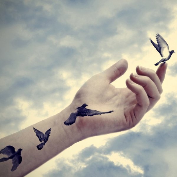 Птица свободы