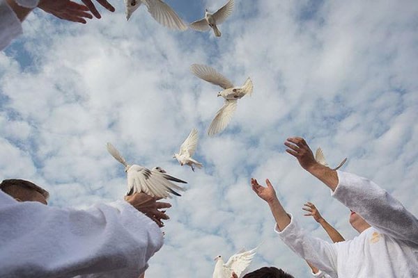 Елена Гоцкина поздравления