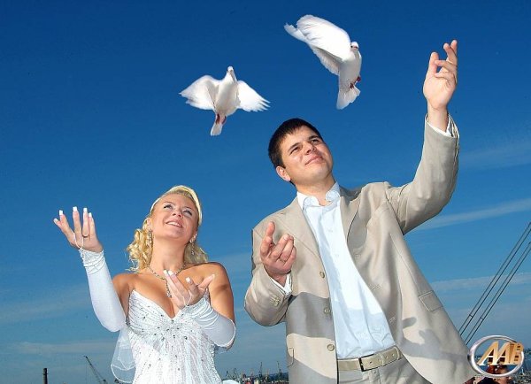 Девушка с голубем