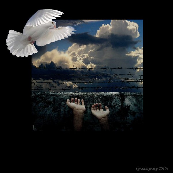 Благовещение Пресвятой Богородицы голуби