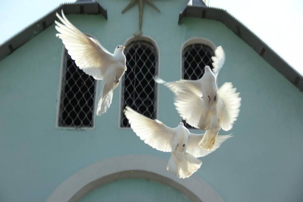 Голубь душа