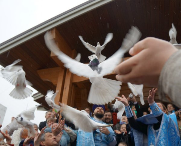 Отпускаю словно птицу