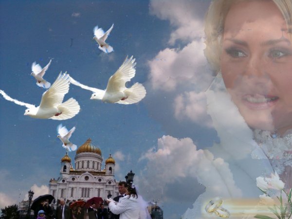 Белый голубь на ладони