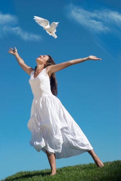 Karl Jenkins - the Essential