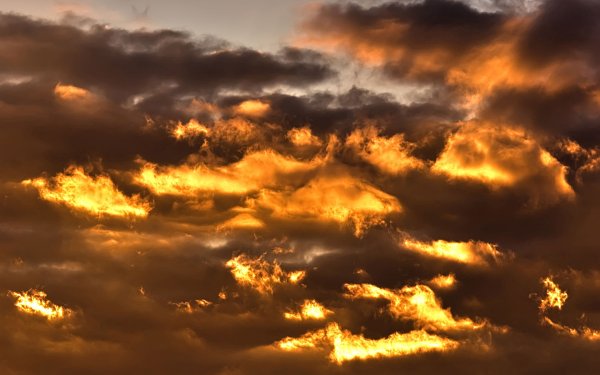 Золотистое небо