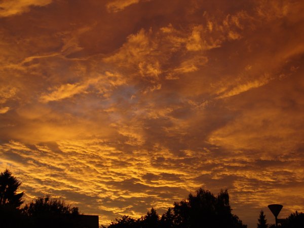 Золотое небо