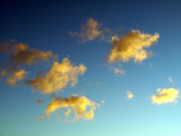 Желто голубое небо