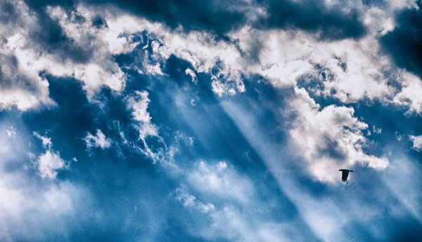 Полет в небе