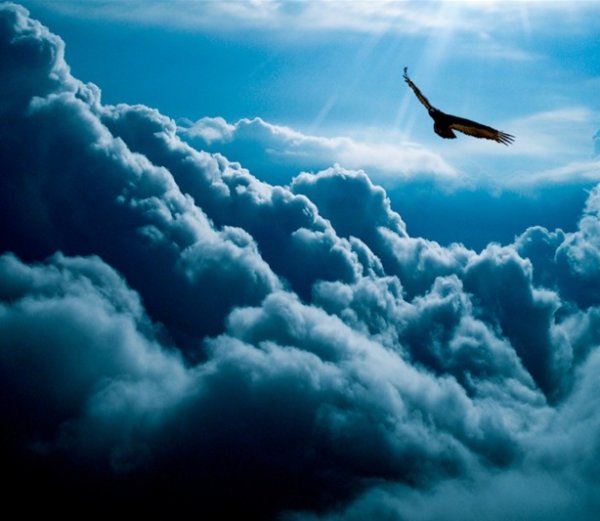 Полет в небе