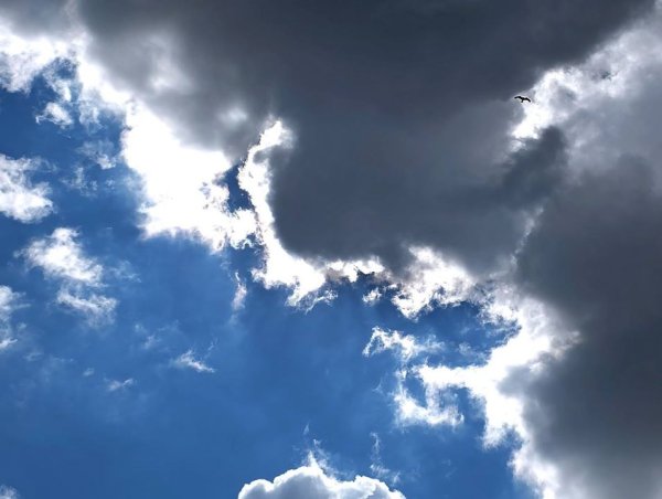 Поющее небо