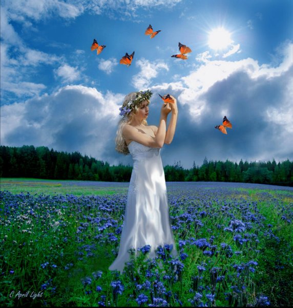 Весна любовь