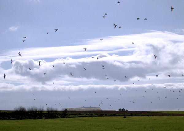 Летать в облаках